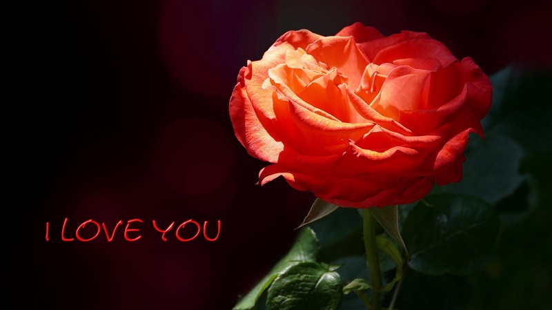 Love you Always eCard